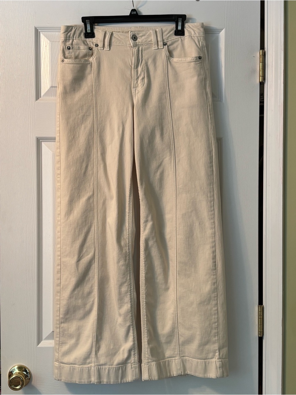 American Eagle Stretch Low Rise Baggy Wide Leg Ivory Pants Size 6 EUC